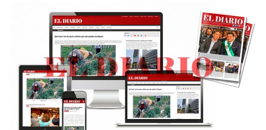 El 2015, gran año de EL DIARIO