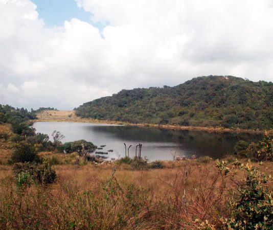 Avanza proceso de delimitación del Páramo Rabanal – Río Bogotá