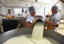 Producción de leche en Colombia alcanza máximo histórico en 2025