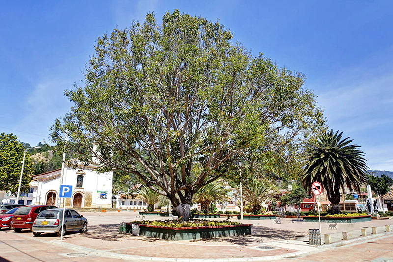 Tinjacá, Boyacá