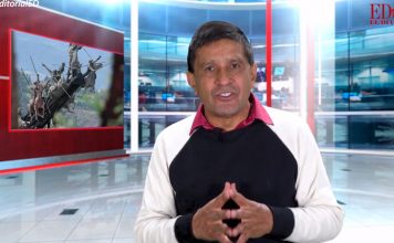 Las expectativas del Bicentenario