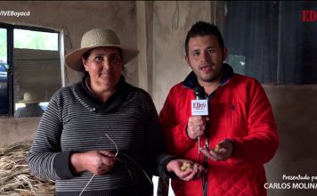 Las riquezas de Gachantivá