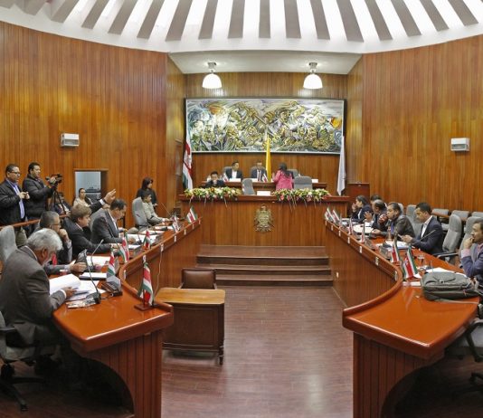 El nacimiento del G10 en la Asamblea con miras a la Gobernación