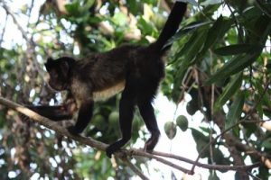 Foto: Corpoboyacá 