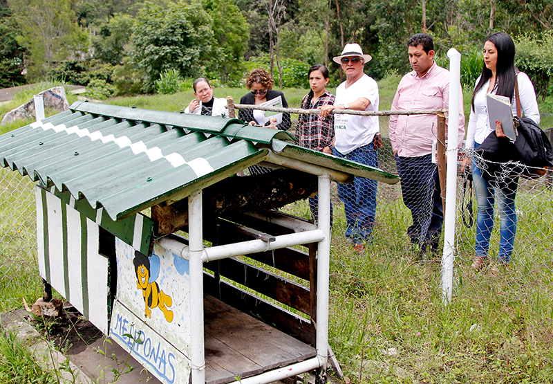 La apicultura es una industria que beneficia al medio ambiente y a pequeños productores del norte del departamento. Foto / Hisrael Garzonroa – EL DIARIO