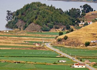 Así es como Aquitania envenena el Lago de Tota