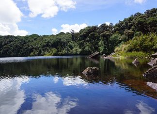 América Latina conocerá experiencia del suroriente boyacense en protección de páramos