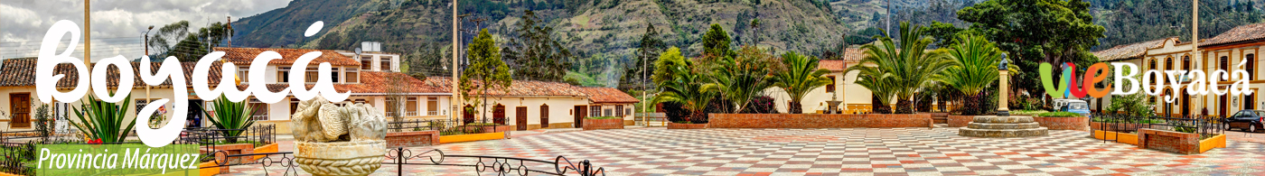 VIVE-boyaca-banner