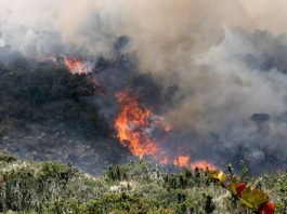 Más de 50 municipios en Boyacá permanecen en alerta roja por posible ocurrencia de incendios
