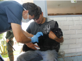 Exitosa jornada de vacunación contra la rabia en Tunja