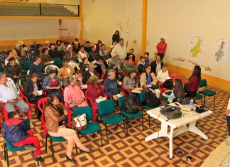 Pomcas: las dificultades de su formación e implementación