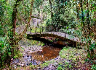 Le apuntan al ecoturismo como motor de desarrollo en el suroriente boyacense