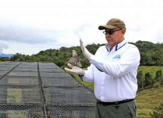 La vida en buenas manos