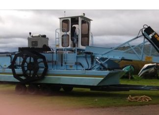 La “maleza” que abunda en el Lago de Tota