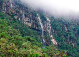 Los guardianes de los bosques del suroriente