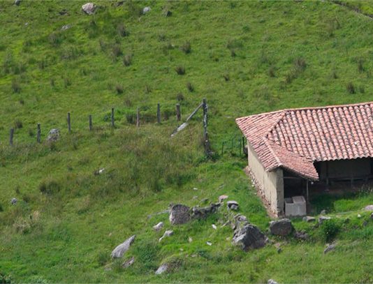 Leal: el hombre y la tierra en Boyacá en el siglo XXI
