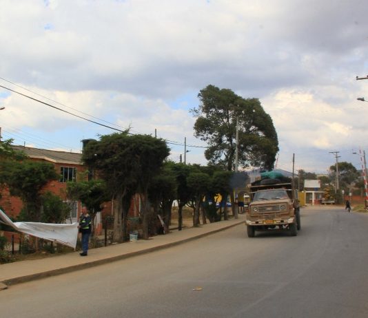 No dejó títere con cabeza
