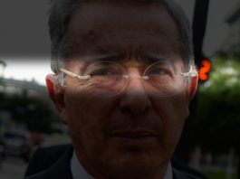 El gran hipnotizador