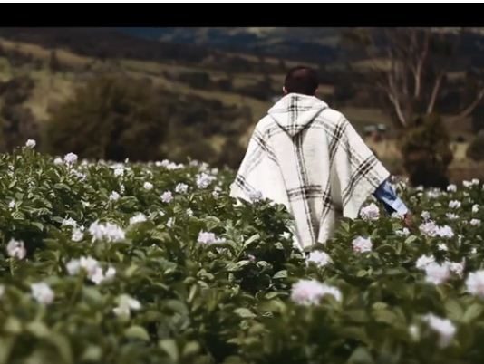 En mayo se hablará de Pachón en Francia