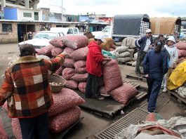 ¿Y ahora, quién podrá defenderlos?