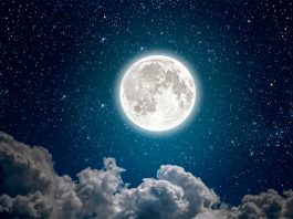 Todos a apreciar el universo en mayo