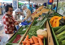 El Gobierno ha generado la peor destrucción de riqueza por el impuesto inflacionario