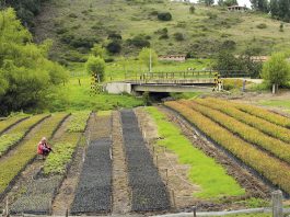 Las condiciones para el campesinado cambiarán para bien