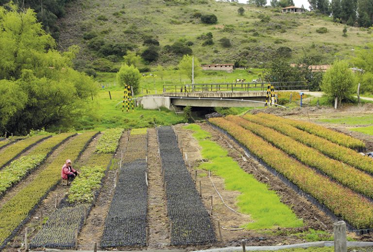 ¿Cuál es la auténtica vocación productiva de Boyacá?