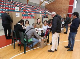 El ABC de los testigos electorales