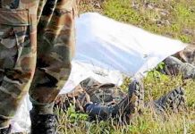 Colombia en su misma tragedia de horror mil veces repetida