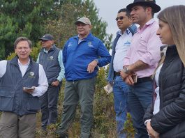 En Boyacá: alianza ambiental por el agua, el oso andino y los páramos