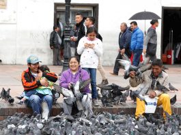 Vuelve a crecer tasa de desempleo en Tunja