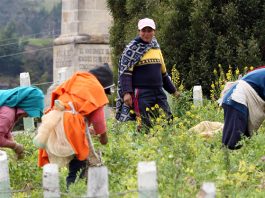 A las mujeres rurales me les quito el sombrero