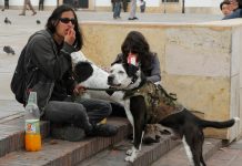 Tunja, una ciudad sin oportunidades de trabajo para los jóvenes