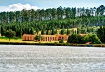 Turismo: caos en medio de la pandemia