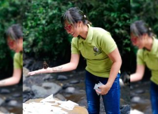 Corpoboyacá 2018: Páramos, calidad del aire, hospitales verdes y POMCAS