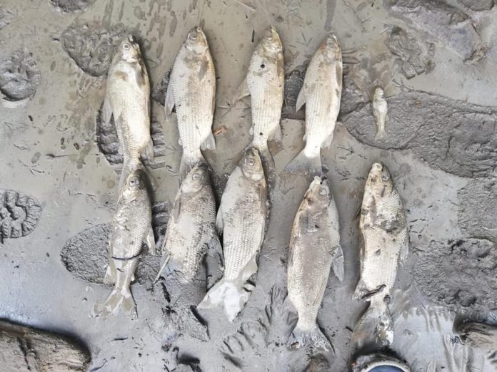 A3F0F9EC-ECC7-4600-B890-4606DAFFC7BA