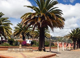 La ‘Tierra de Nairo’ se alista para recibir la campaña “Más Fibra Menos Plástico”