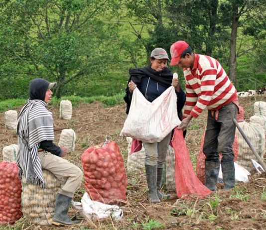 13 líneas de trabajo complementarias a la Reforma Agraria
