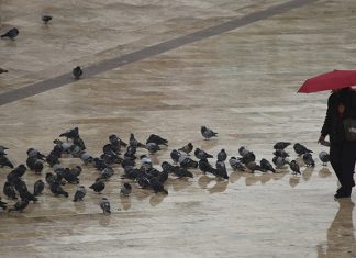 En el primer semestre del 2024 habrá disminución de lluvias entre el 10 y el 30 por ciento en la Región Andina