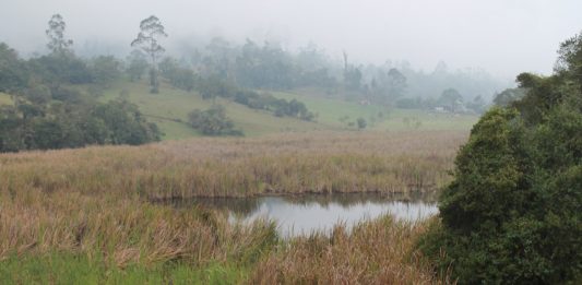 Agua blanca, la laguna que permitió la reinvención de Úmbita