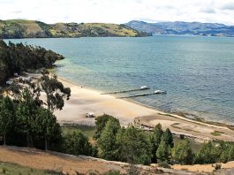 Lago de Tota, la Defensoría advierte sobre altos niveles de contaminación y toxicidad