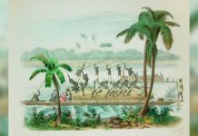 Panorama de un viaje por la república de Colombia en 1823: G. Mollien