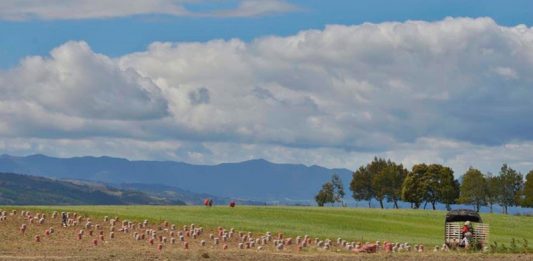 La RAPE presentará en Tunja el Plan de Abastecimiento Alimentario