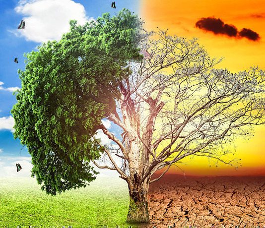 Corpoboyacá y ocho municipios de Boyacá declaran crisis climática