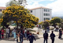 La puja por la Rectoría de la UPTC (1)