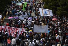 14F, llamado del gobierno para un pacto de solidaridad