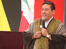 «El Presidente será Verde»: Carlos Amaya