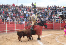 Sangrienta fiesta
