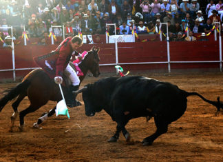 Recomendación a los alcaldes: corridas de toros y peleas de gallos, ni de riesgo